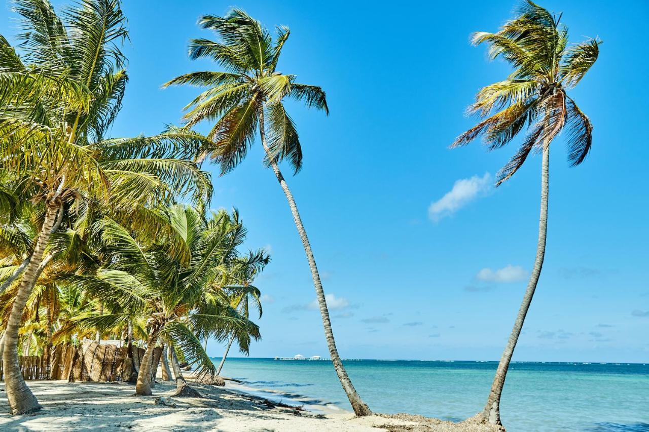 Terrazas - Corales Village 3* Punta Cana